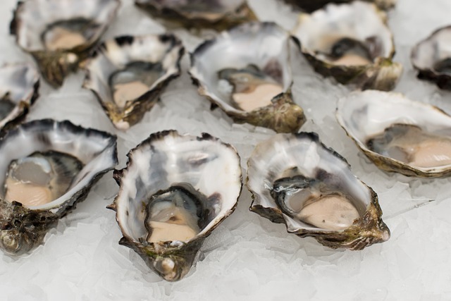 Notícia: Centro de Vigilância Sanitária do Estado de São Paulo proíbe comércio de moluscos bivalves